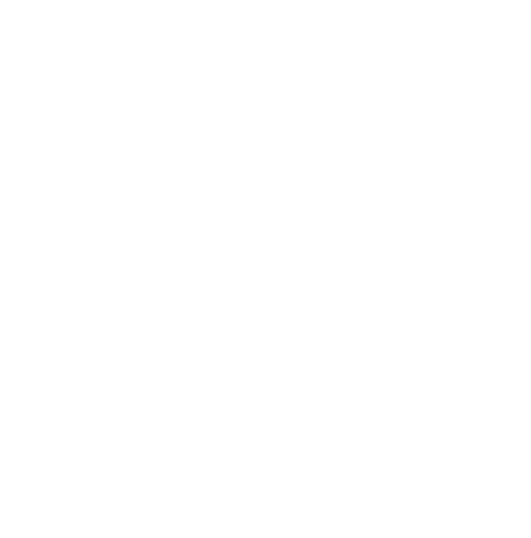 Agent Fox Media Limited logo