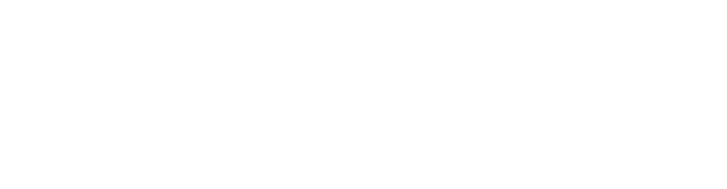 The Lisa Richards Agency logo