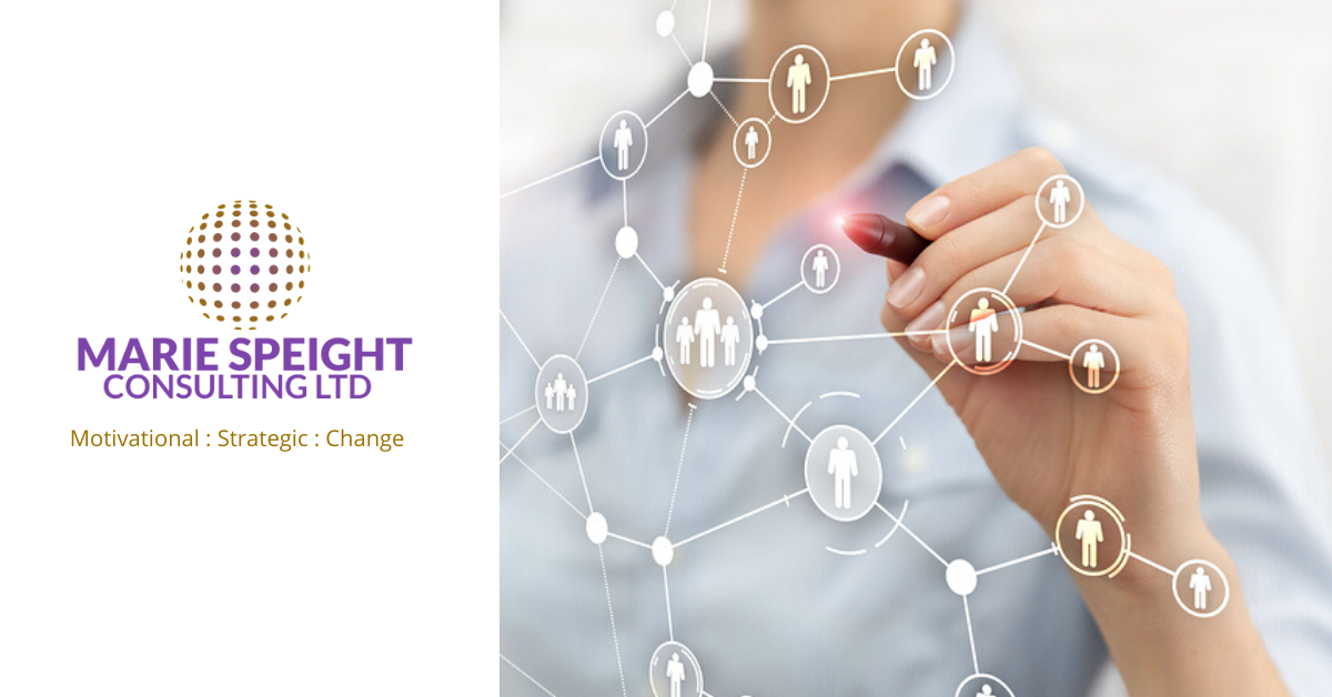 Marie Speight Consulting logo