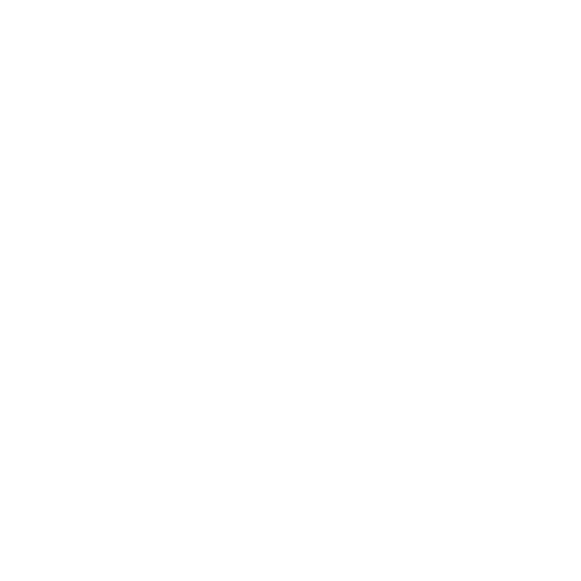 Steppaz Ltd. logo