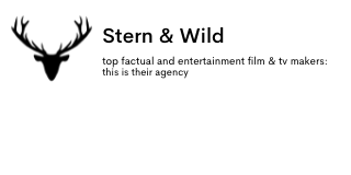Stern & Wild Ltd. logo