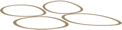 Sainou logo